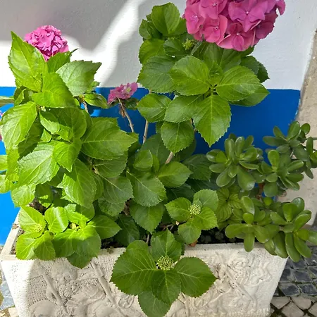 Casa Do Poco Obidos