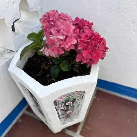 Casa Do Poco לינה וארוחת בוקר אובידוס