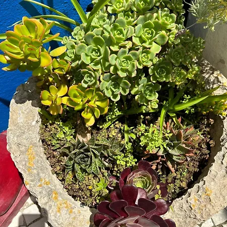 Casa Do Poco אובידוס