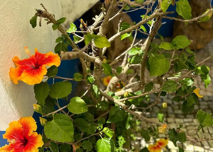 Casa Do Poco 4* Óbidos