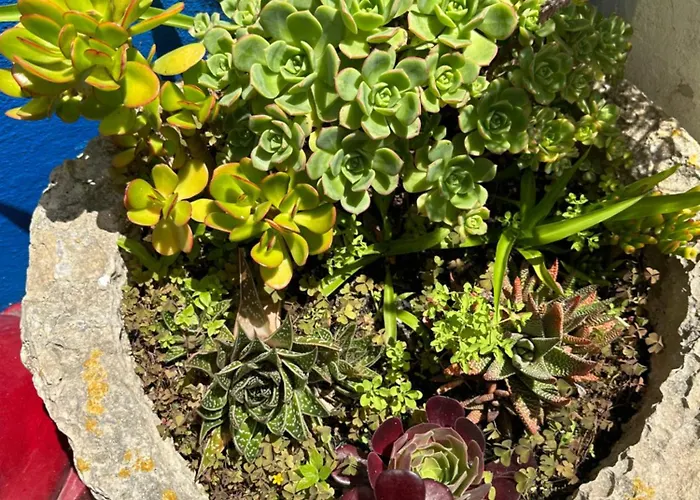 Casa Do Poco Óbidos